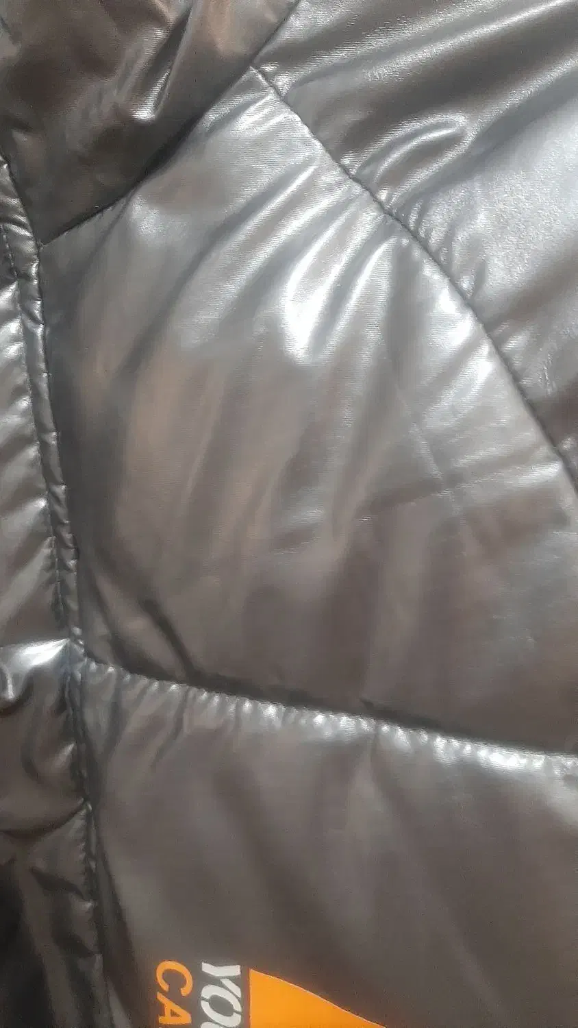 کاپشن خارجی|لباس|تهران, بهداشت|دیوار