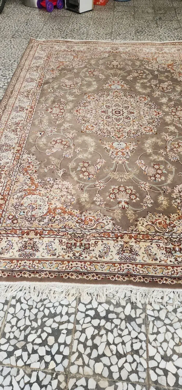 فرش ۶ متری سالم|فرش|لنگرود, |دیوار