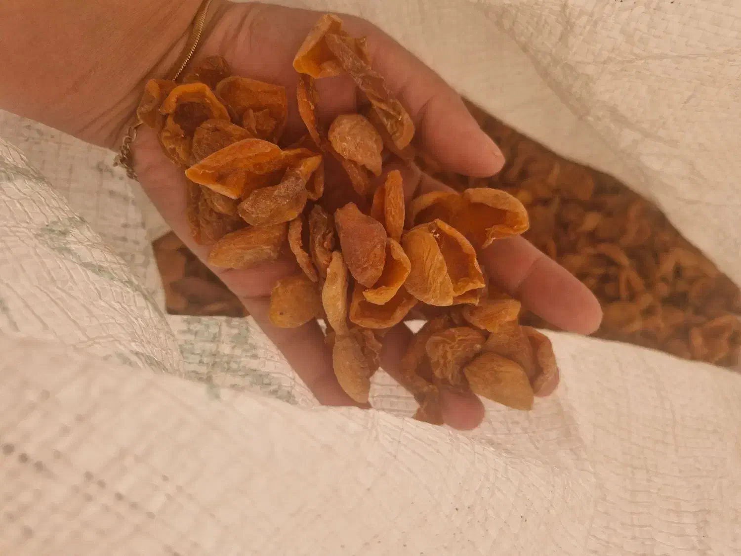 برگه زرد آلو تازه خشک شده کاملا خوشمزه وترش|خوردنی و آشامیدنی|اراک, |دیوار