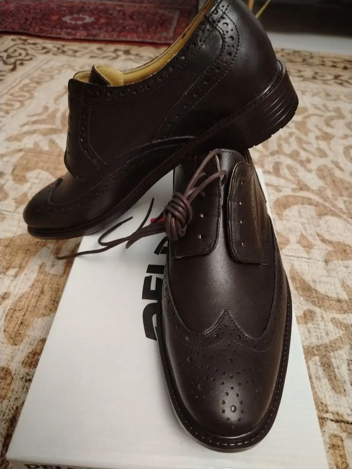 کفش چرم مجلسی|کیف، کفش، کمربند|ملایر, |دیوار