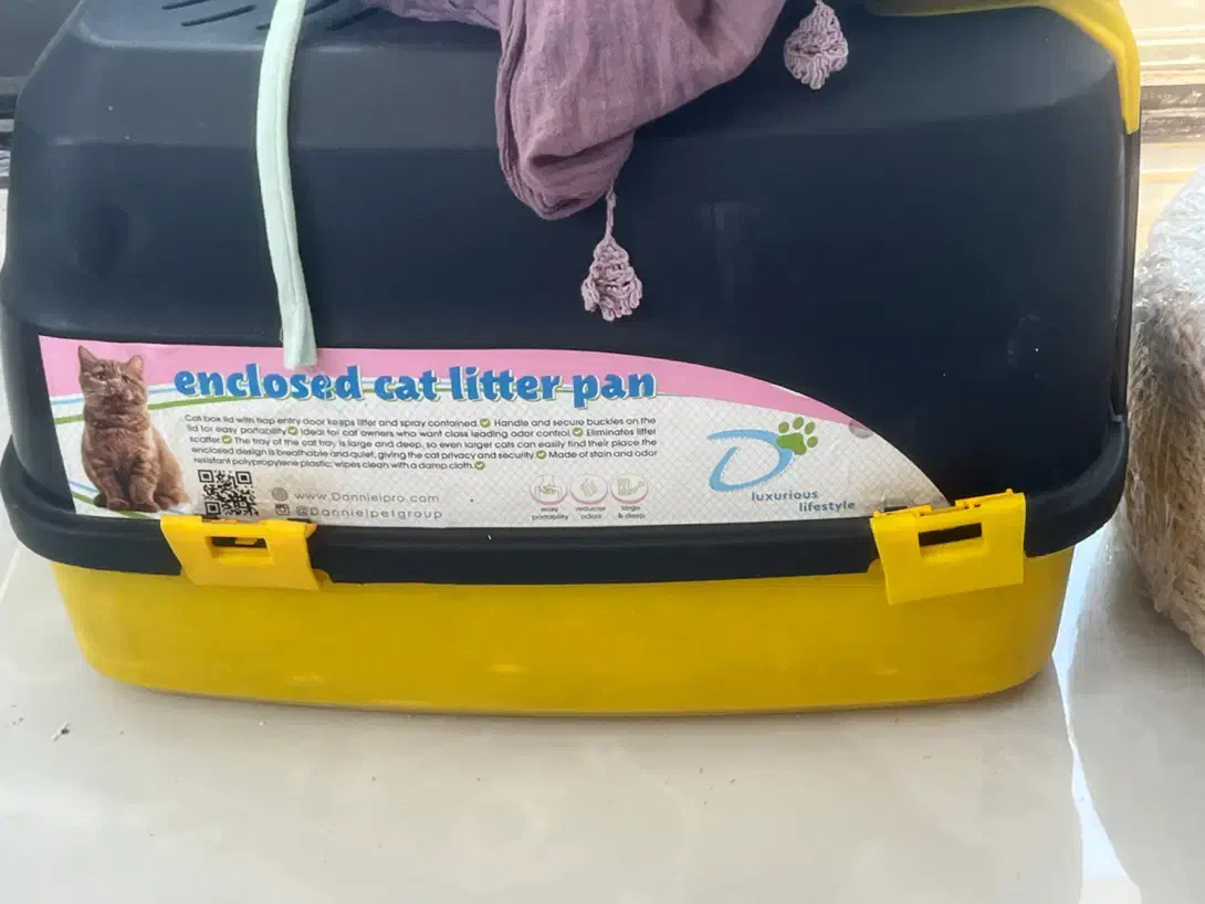 ظرف خاک گربه|گربه|کیش, |دیوار