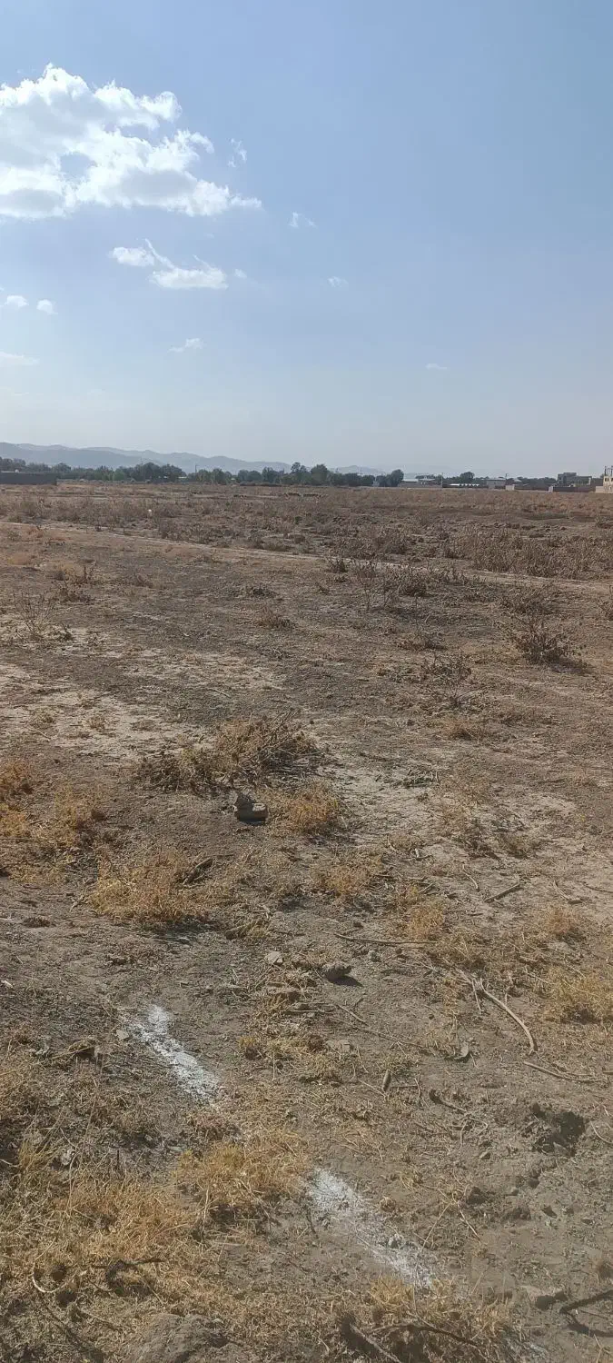 یک قطعه زمین کشاورزی قبل از تماس پیام دهید|فروش زمین و ملک کلنگی|ملایر, |دیوار