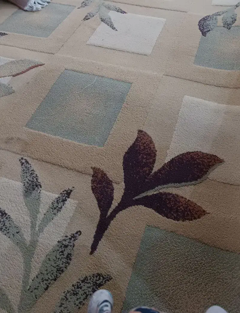 یک عدد گلیم فرش ۶ متری تمیز شسته شده|فرش|اندیمشک, |دیوار