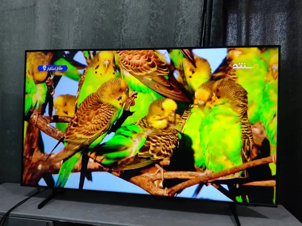 تلویزیون ال ای دی ۴۳اینج یونیوا دوگیرنده|تلویزیون و پروژکتور|اهواز, شهرک رزمندگان|دیوار