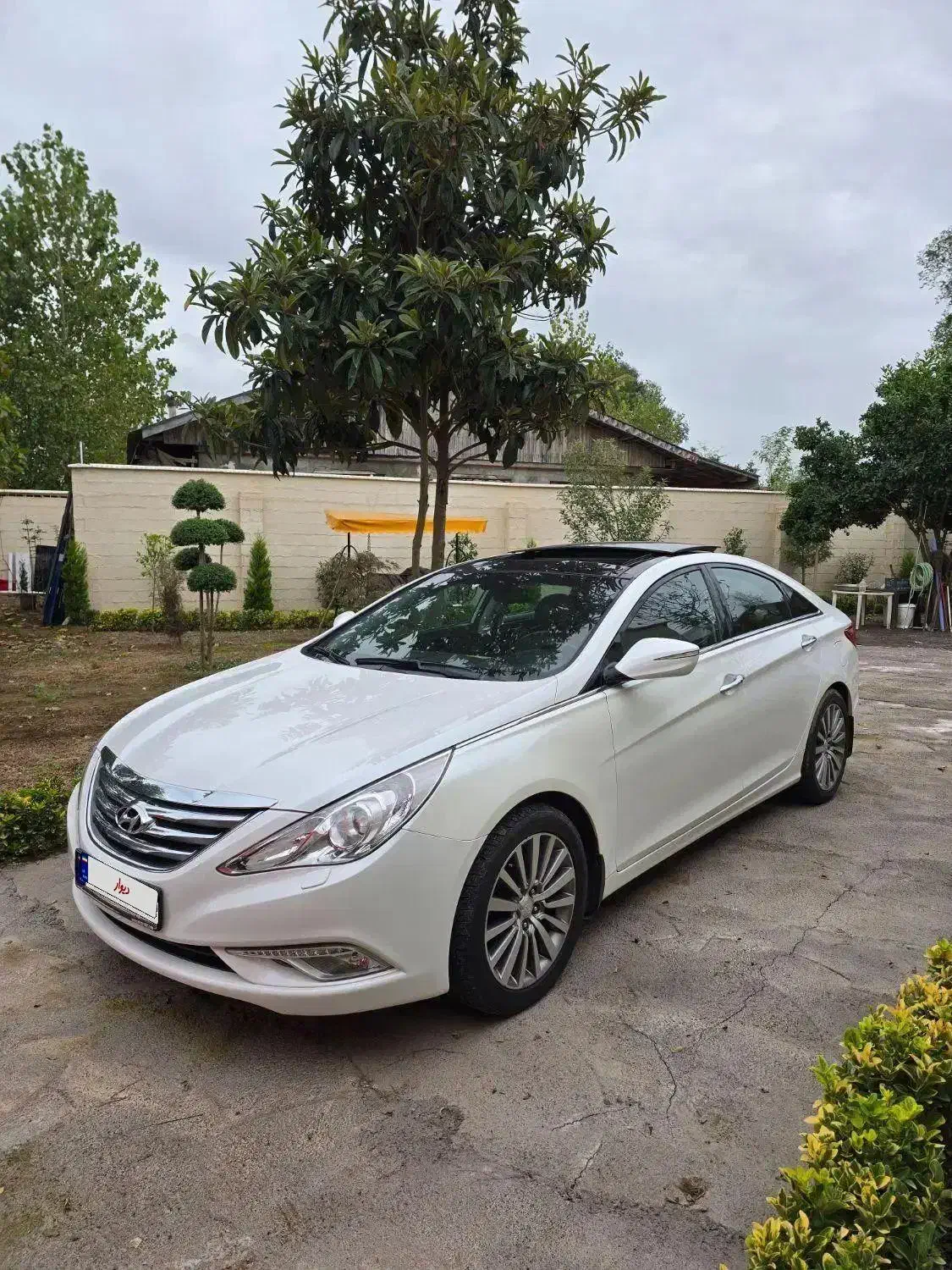 سوناتا YF فول 2014 شرکتی|خودرو سواری و وانت|رشت, گلسار|دیوار