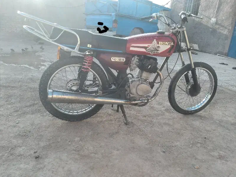 کفتر|پرنده|کرباسک, |دیوار