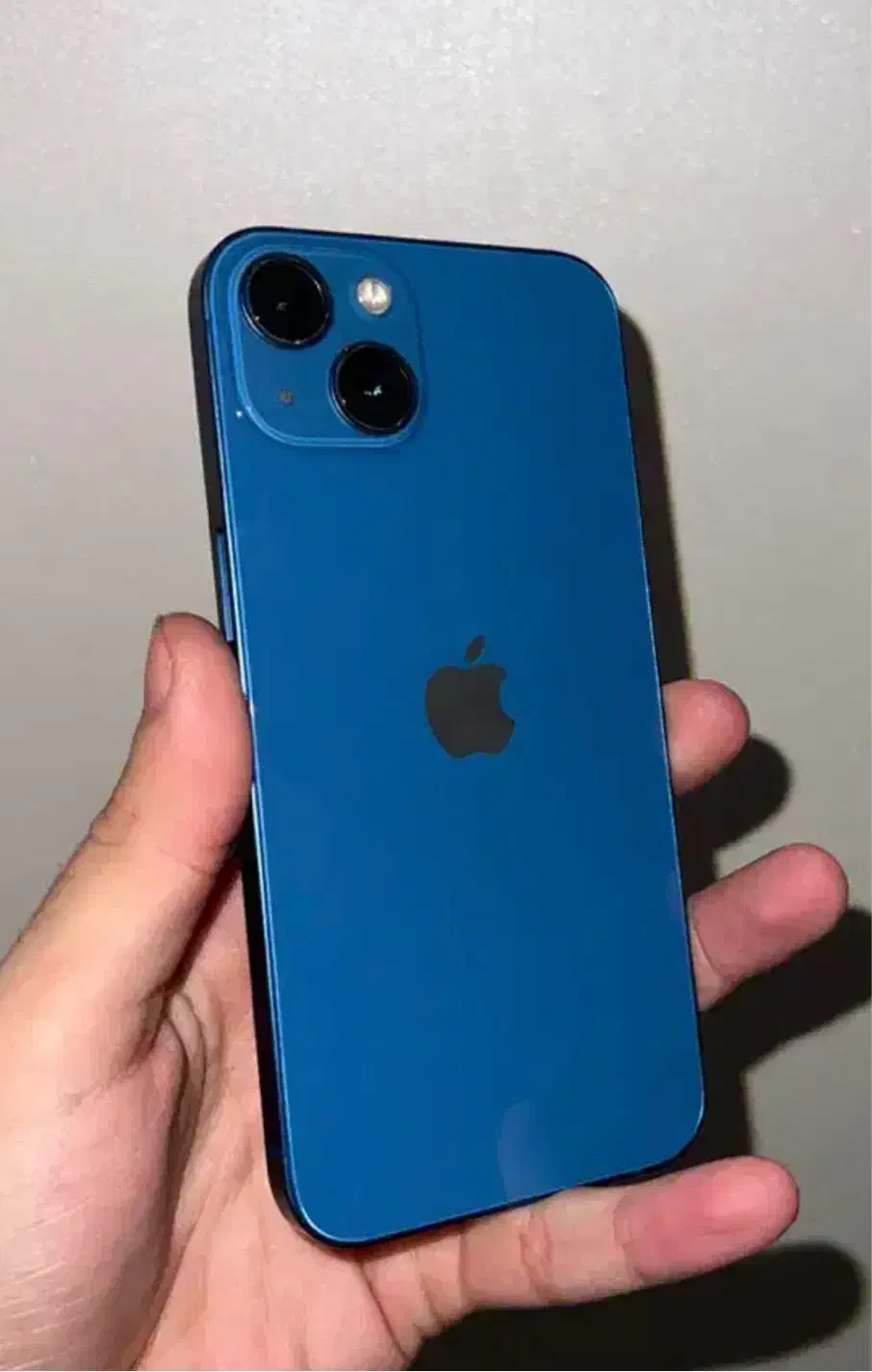 Iphone 13 نرمال|موبایل|رشت, شهرک قدس|دیوار