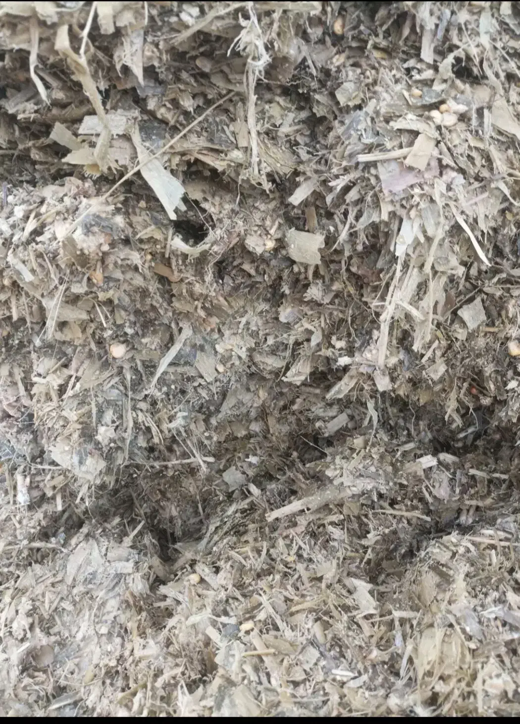 ذرت|لوازم جانبی حیوانات|اسفراین, |دیوار