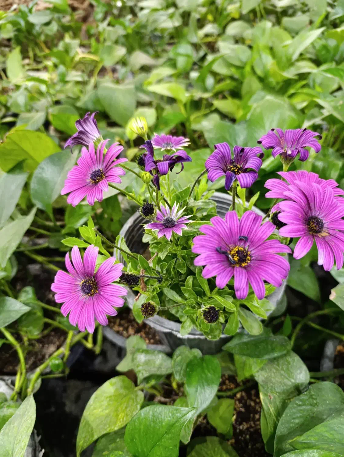 شاگرد کارواش|استخدام سرایداری و نظافت|بم, |دیوار