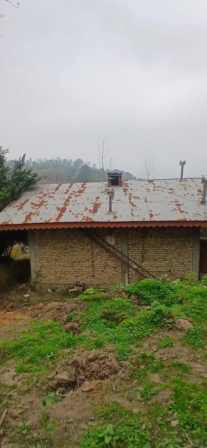 ۵۰۰متر زمین خانه و محوطه جنگلی|فروش خانه و ویلا|شفت, |دیوار