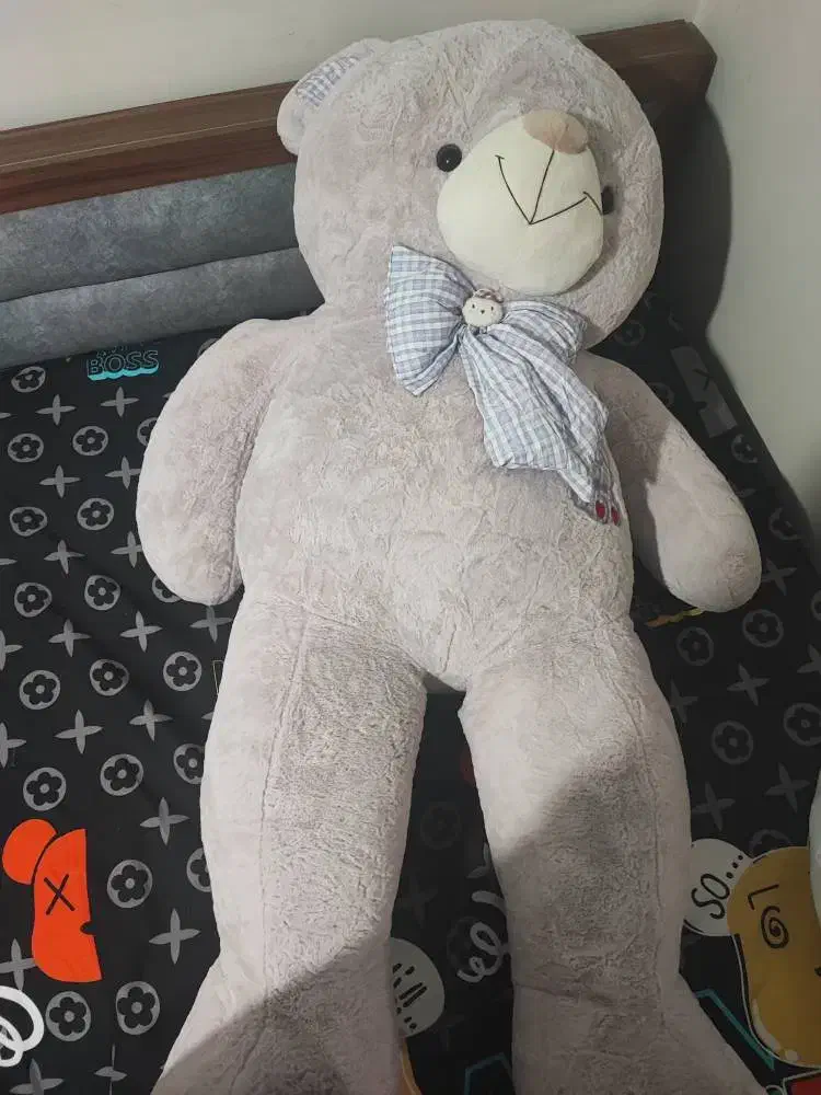 عروسک خرس بزرگ|اسباببازی|ساری, |دیوار