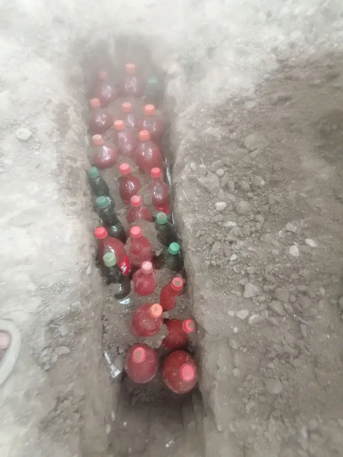 رب محلی|خوردنی و آشامیدنی|نگین شهر, |دیوار