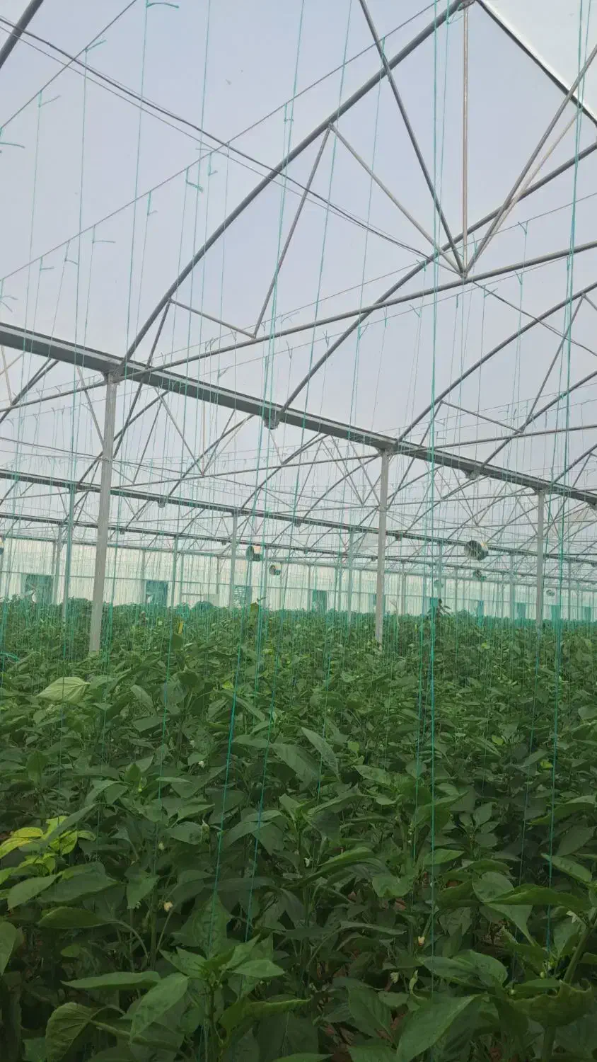 کارگر ساده گلخانه|استخدام صنعتی، فنی، مهندسی|شیراز, ظفرآباد|دیوار
