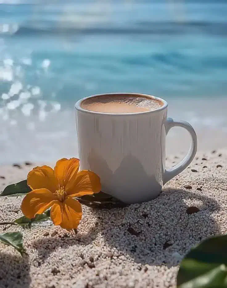 تلفن خط ثابت رند ۶۰۱۷۰۰۰|تلفن رومیزی|مشهد, دانشجو|دیوار