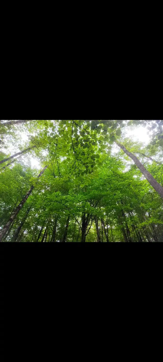 راهنمایی|فعالیت داوطلبانه تحقیقاتی|کاشان, زیدی|دیوار