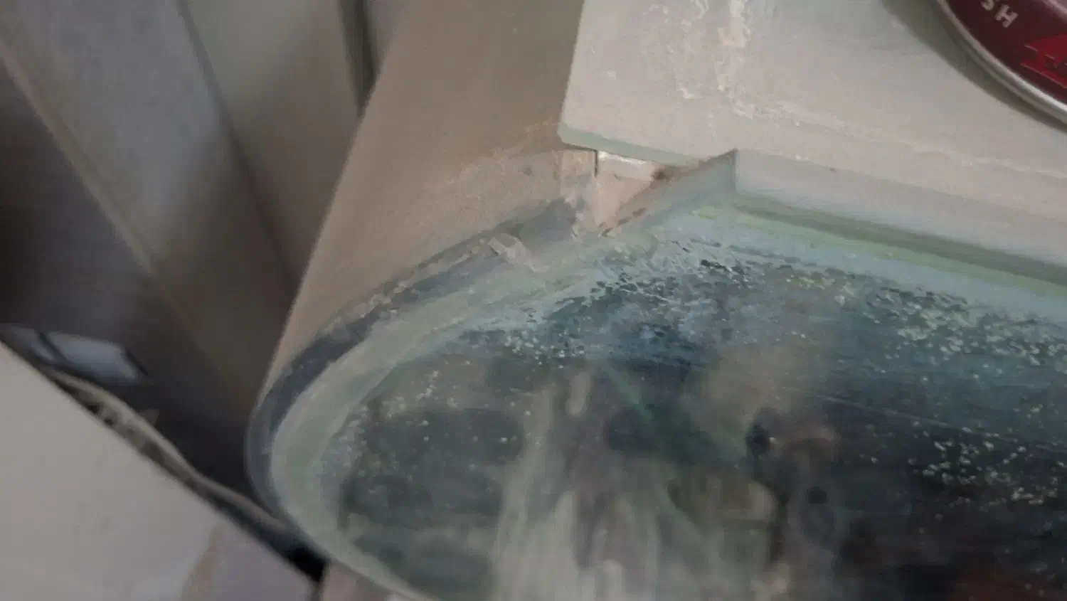 آکواریوم|ماهی|اصفهان, خواجو|دیوار