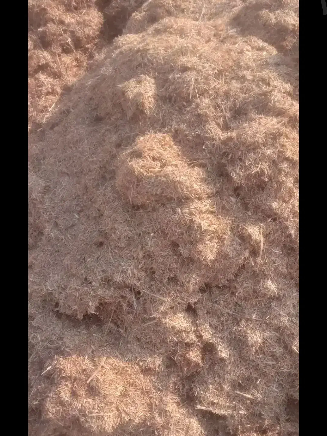 کاه نرم کاهکوب بارون خورده|لوازم جانبی حیوانات|مرودشت, رودبال|دیوار