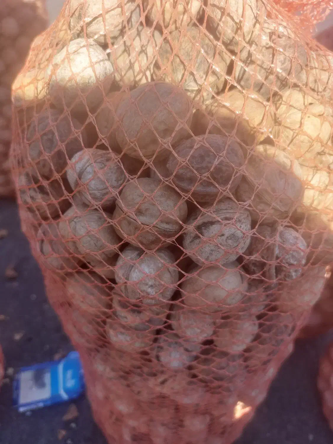 گردو پارساله|عمده‌فروشی|قم, مسجد امام حسن|دیوار