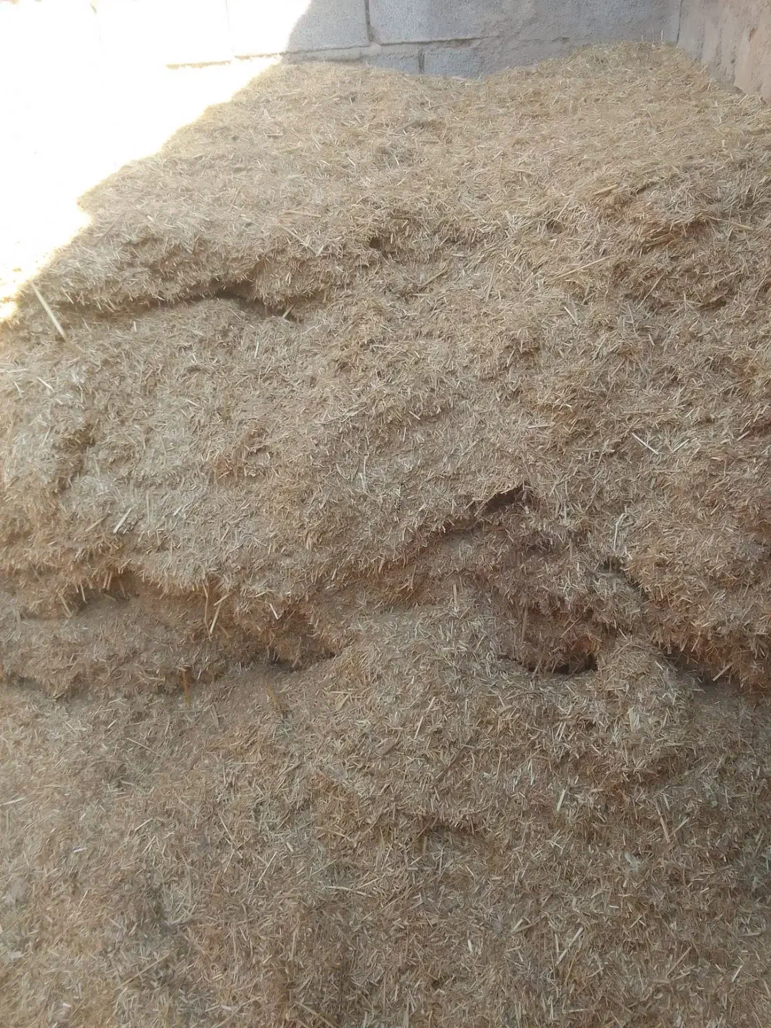 فروش کاه|لوازم جانبی حیوانات|امیدیه, |دیوار