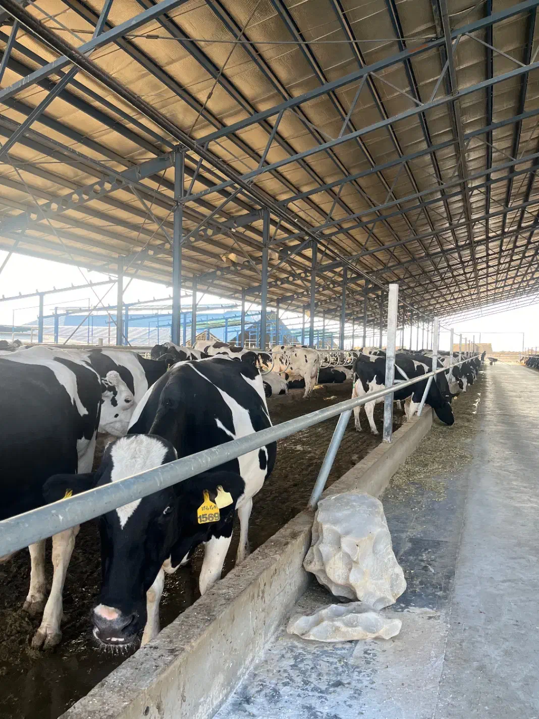 استخدام حسابدار انبار|استخدام مالی، حسابداری، حقوقی|دهق, |دیوار