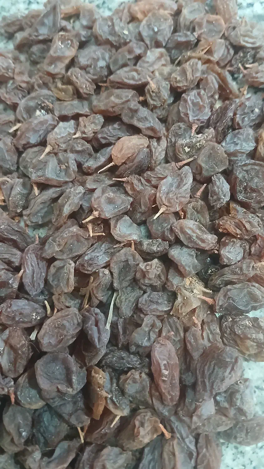 فروش مویزعسکری|خوردنی و آشامیدنی|شیراز, گل سرخ|دیوار