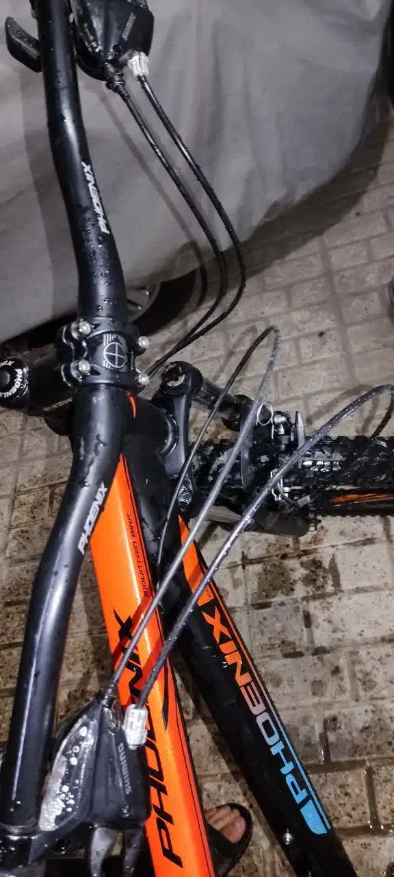 دوچرخه۲۶|دوچرخه، اسکیت، اسکوتر|مشهد, عبادی|دیوار