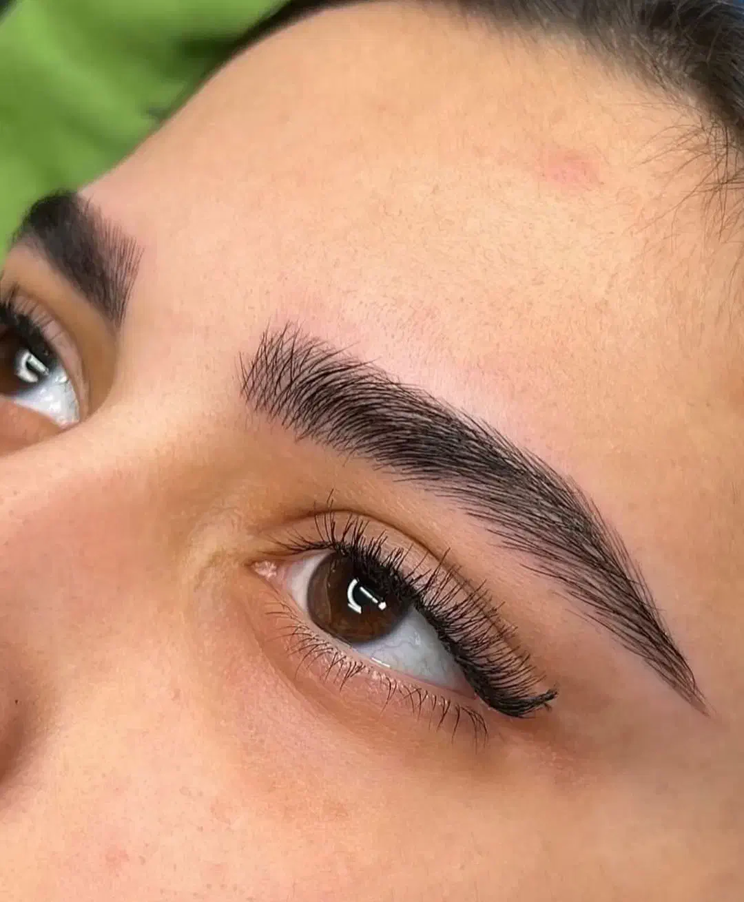 فیبروز ، شیدلب ، کاور تاتو قدیمی ، ریموو ابرو|خدمات آرایشگری و زیبایی|شیراز, شهرک سراج‎|دیوار