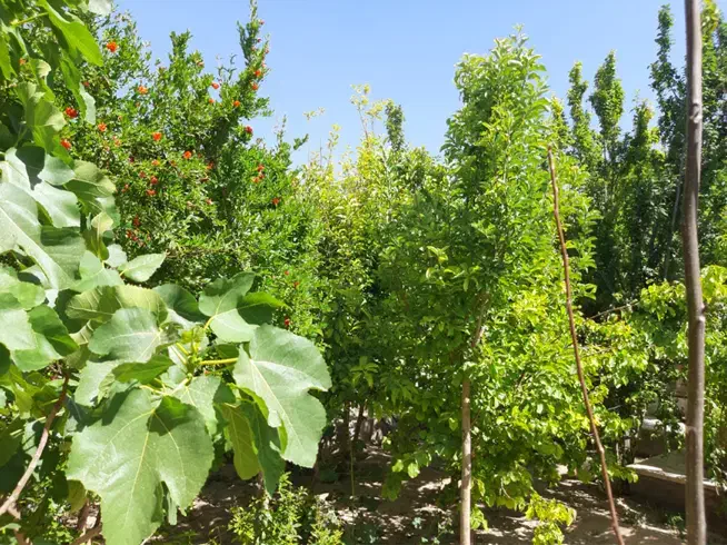 خانه گاریزات|فروش خانه و ویلا|گاریزات, |دیوار