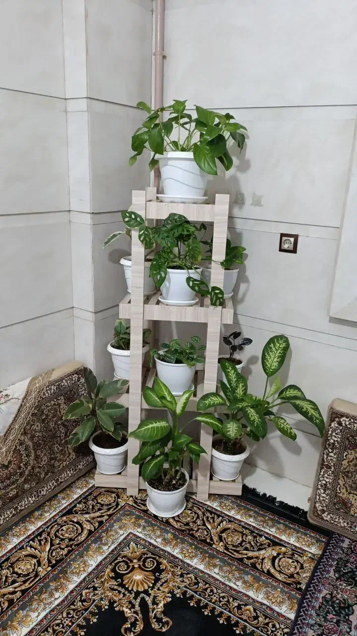 استند.چوبی گل|کتابخانه، شلف، قفسه‌های دیواری|اسدآباد, |دیوار