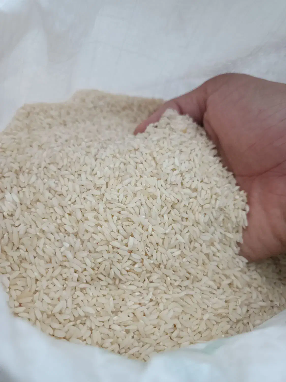 برنج عنبر بو|خوردنی و آشامیدنی|اهواز, شهرک دانشگاه|دیوار