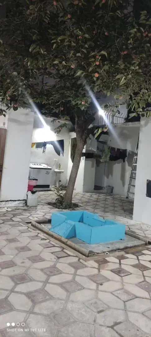 خوابگاه دخترانه|اجارهٔ کوتاهمدت آپارتمان و سوئیت|شیراز, زند|دیوار