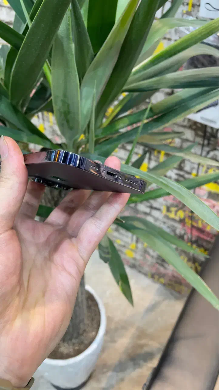 14 pro za/a|موبایل|قم, عربستان|دیوار