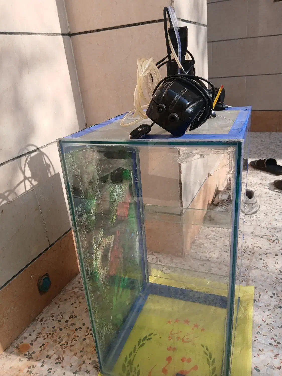 فروش|ماهی|بهبهان, |دیوار