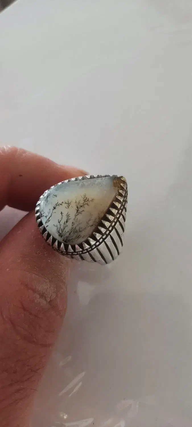 شجر بریزیلی سوزنی|جواهرات|ملایر, |دیوار