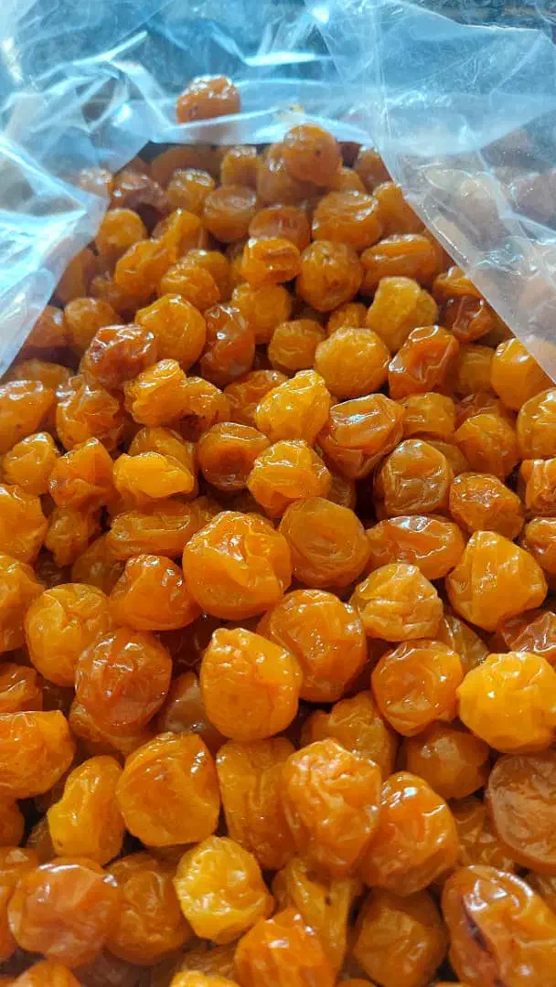 الوبخارا زرد طلایی بوانات|خوردنی و آشامیدنی|شیراز, ریاستی|دیوار