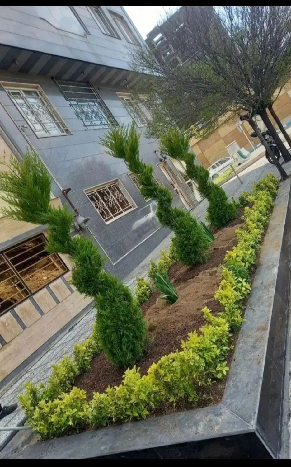 خدمات تخصصی باغبانی باغچه کاری گل کاری تعویض خاک|خدمات باغبانی و درختکاری|تهران, شهرک غرب|دیوار