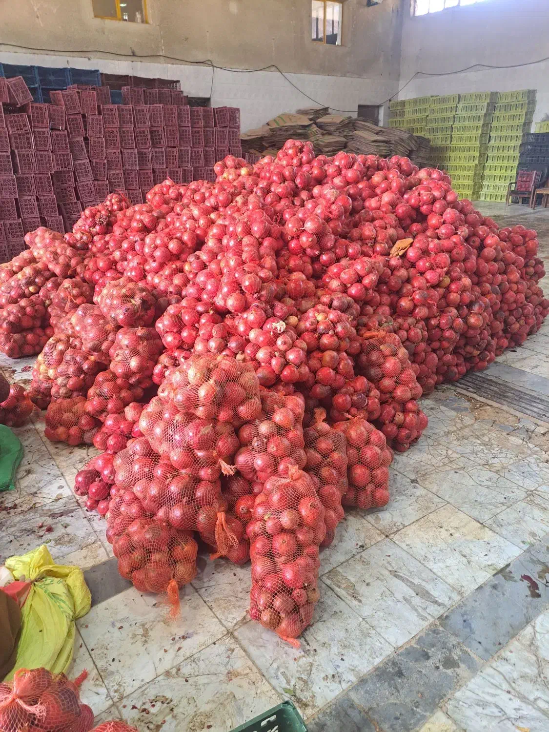 انار کنسانتره ۲۰تن|عمده‌فروشی|فیروزکوه, |دیوار