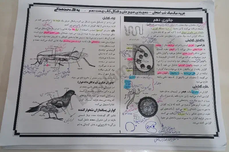 کتاب های ماجرای بیست خیلی سبز دهم و ضمیمه ها|کتاب و مجله آموزشی|تهران, باغ فیض|دیوار