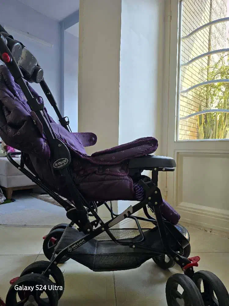 کالسکه دلیجان ، در حد نو|کالسکه و لوازم جانبی|گنبد کاووس, |دیوار