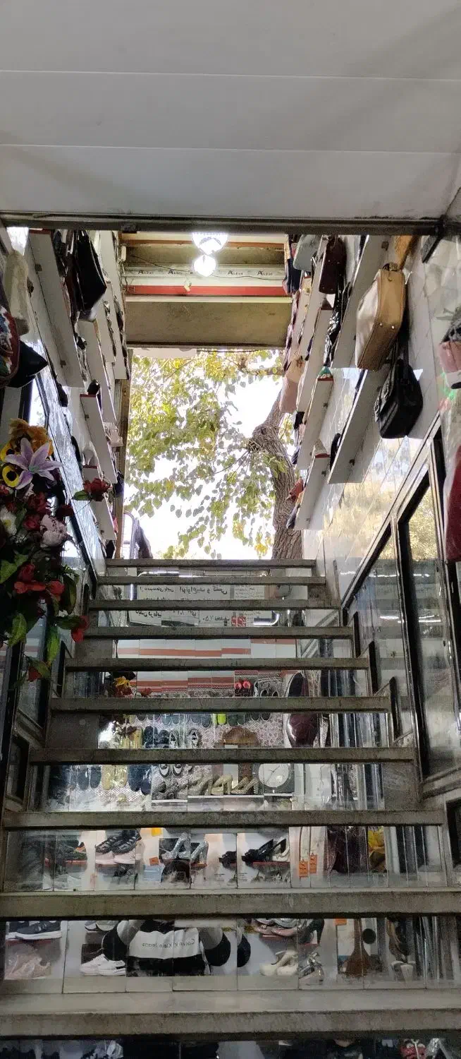 کیف وکفش زنانه بچگانه مردانه|کیف، کفش، کمربند|سنندج, |دیوار