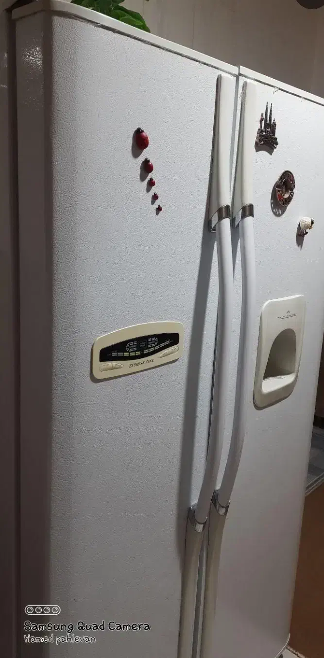 یخچال وفریزر|یخچال و فریزر|تربت جام, جامی|دیوار