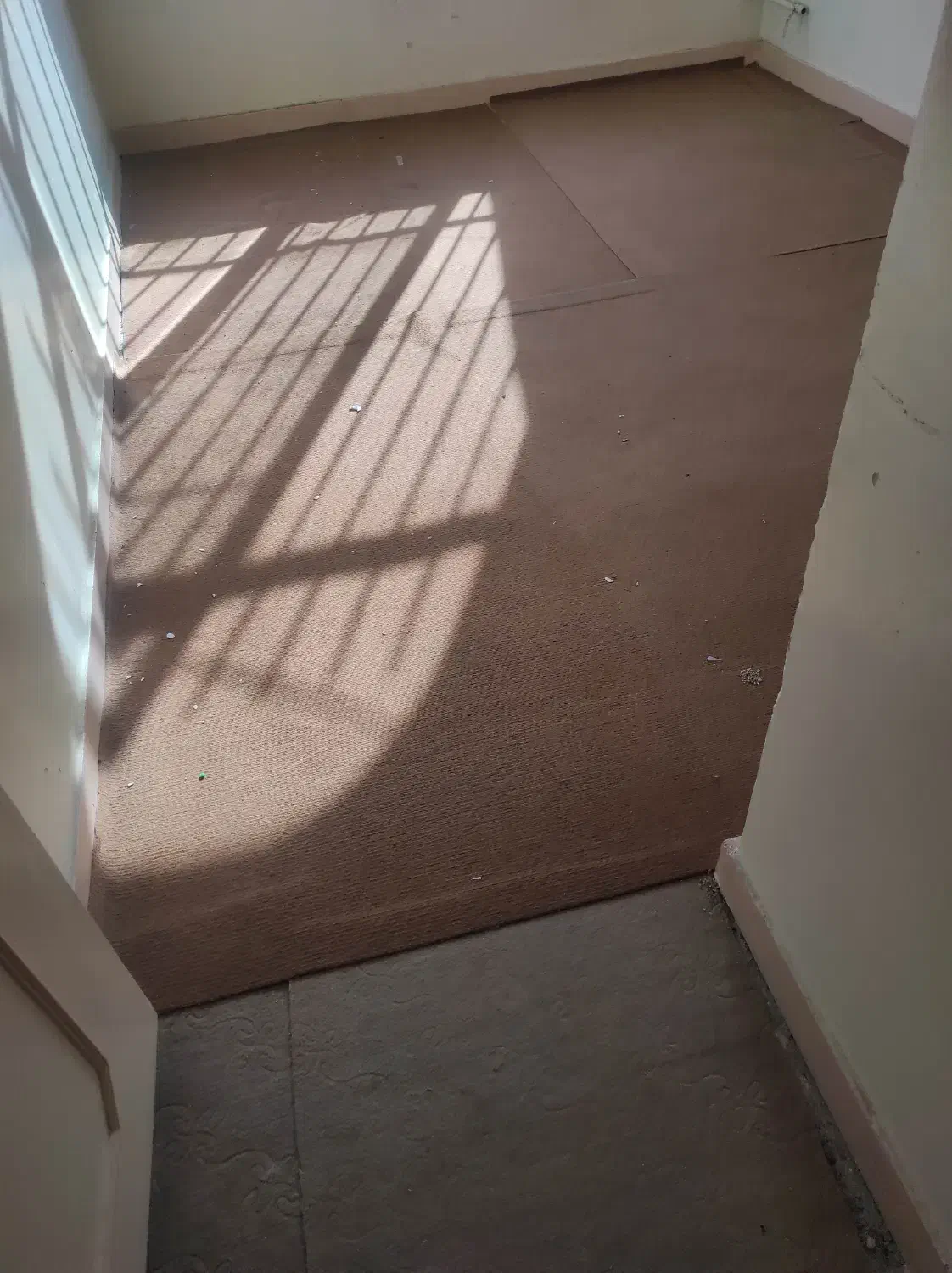 موکت|موکت|قزوین, |دیوار