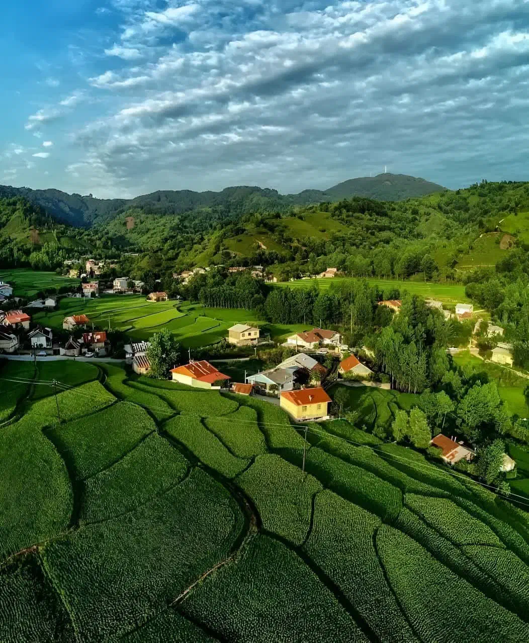 چای|سماور، چای‌ساز، قهوه‌ساز|رفسنجان, |دیوار