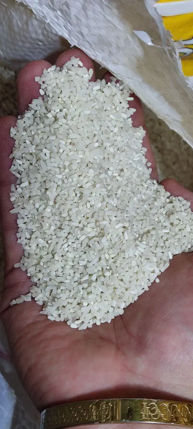 لاشه هاشمی آستانه اشرفیه|خوردنی و آشامیدنی|قم, یخچال قاضی|دیوار