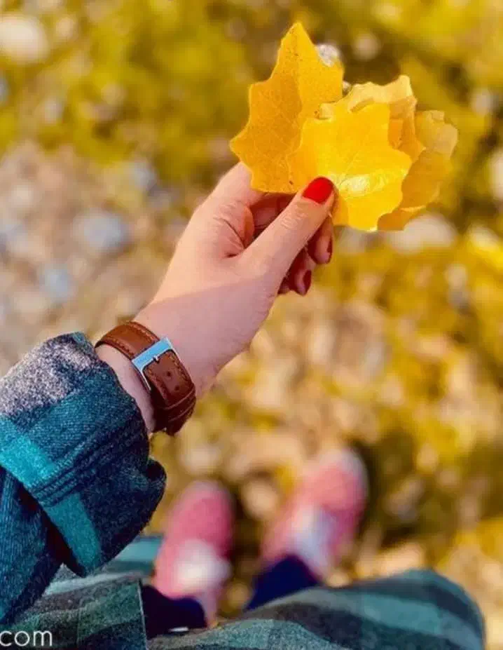 روبیکا درخدمتم|حراج|مرودشت, فرهنگ|دیوار