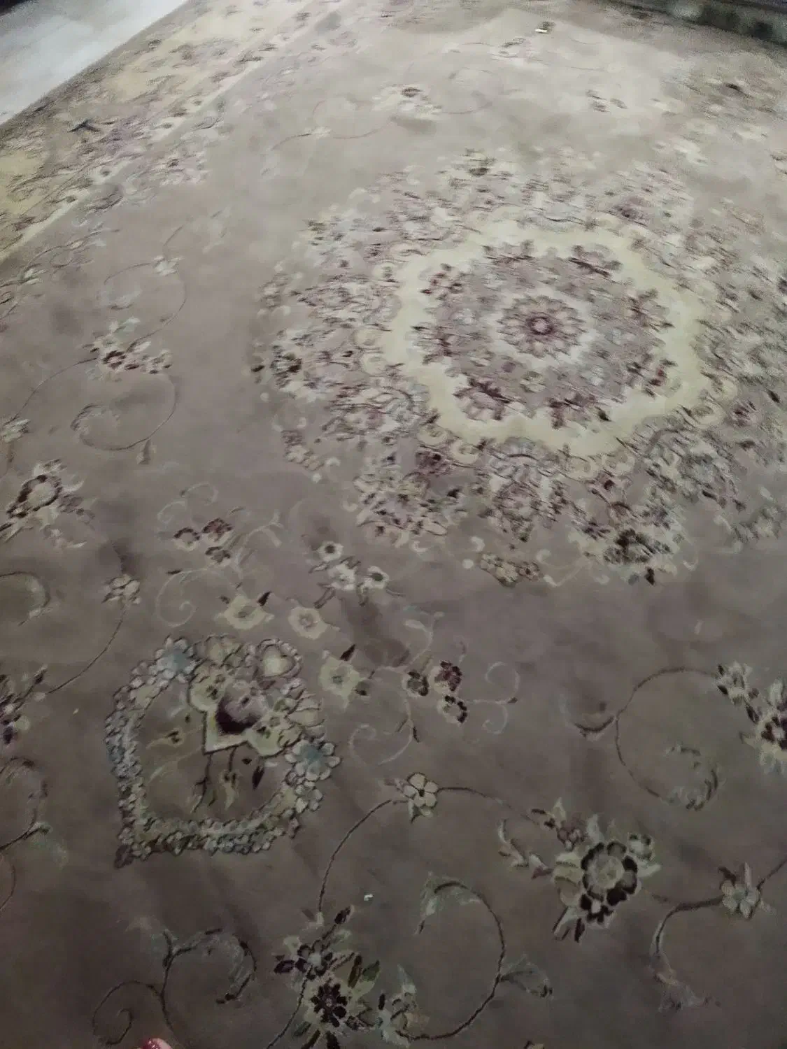 فقط 2میلیون|فرش|مینودشت, |دیوار