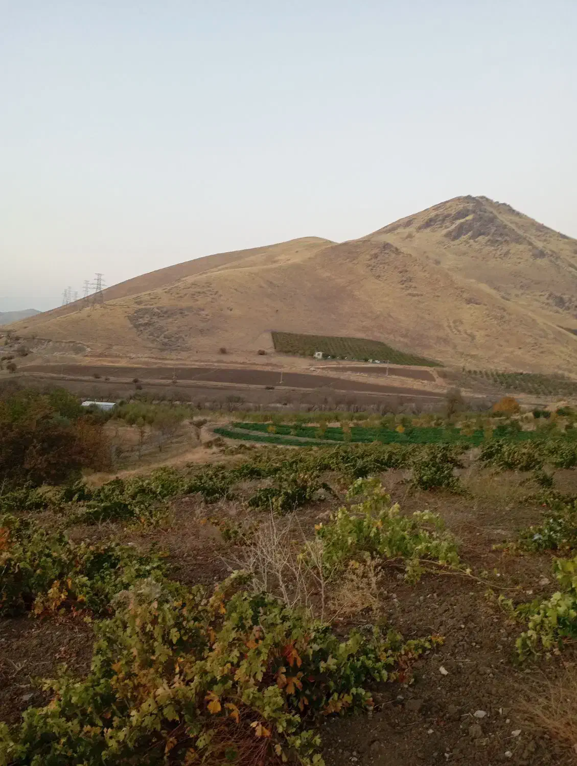 فروش زمین|فروش زمین و ملک کلنگی|پیرانشهر, |دیوار