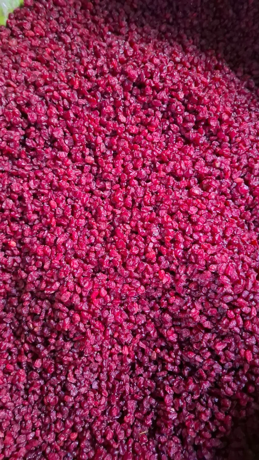 زرشک خوش دانه|خوردنی و آشامیدنی|کرج, محمد آباد|دیوار