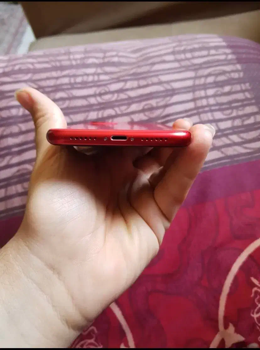 اپل 11 نرمال 256 گیگ رنگ قرمز|موبایل|خرمشهر, |دیوار