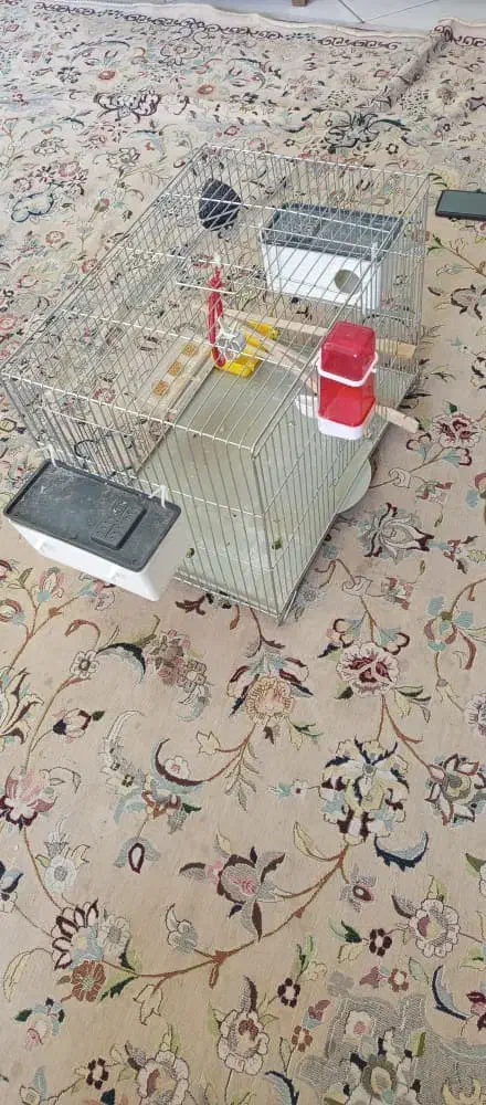 قفس پرنده|لوازم جانبی حیوانات|شیراز, ریشمک|دیوار